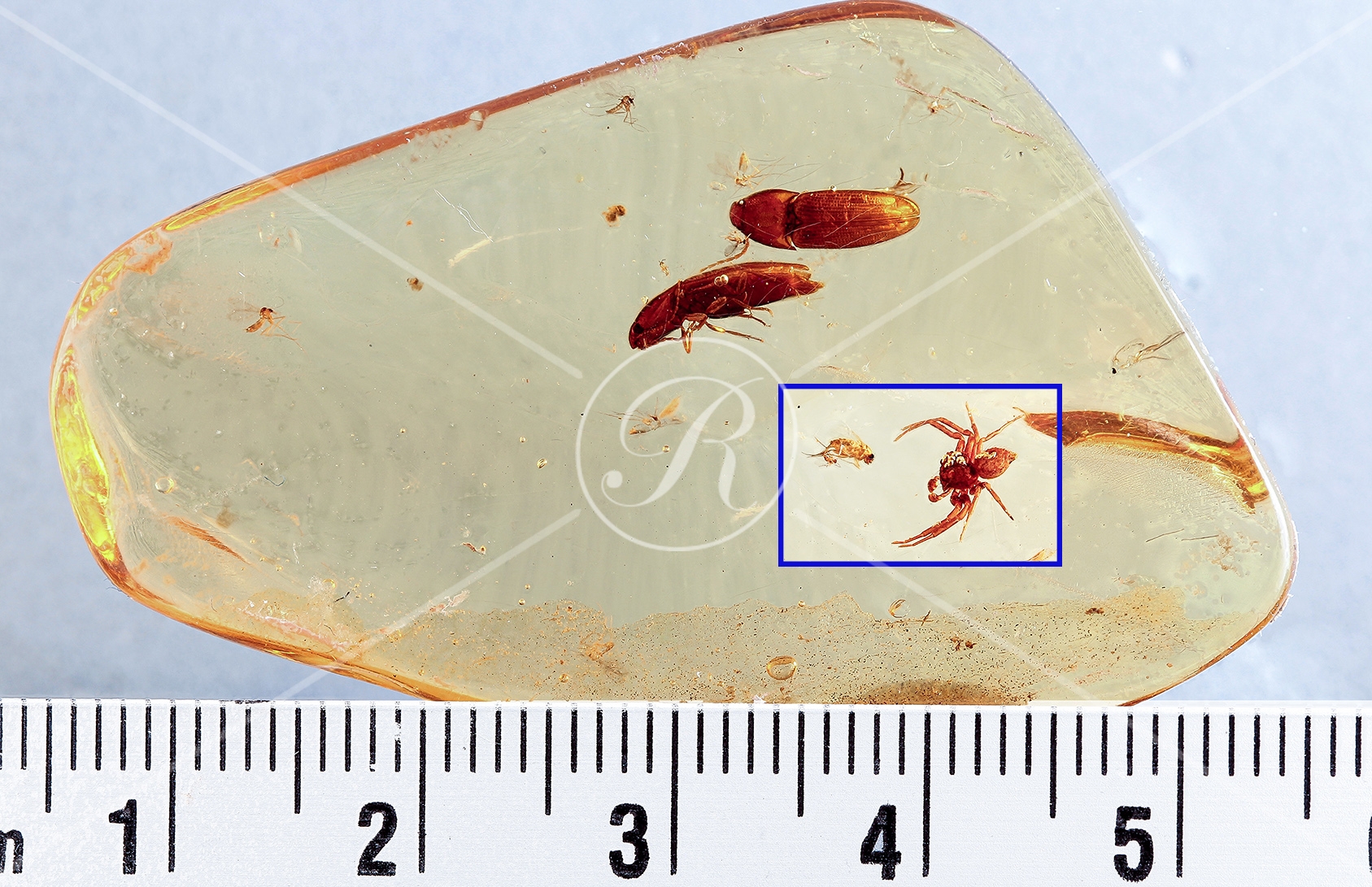 Watermark_194_N102éch .jpg